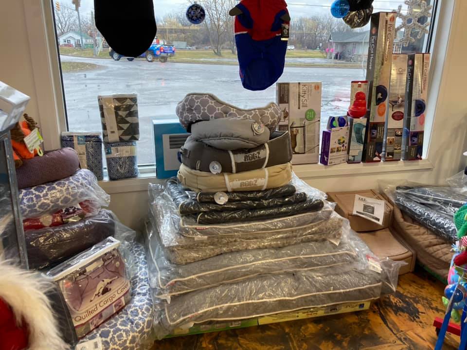 display of dog & cat beds & accessories
