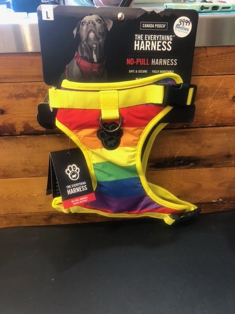 Rainbow dog harness