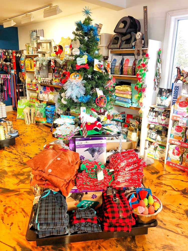 Pet pajamas under a Christmas tree decorated with dog accessories.