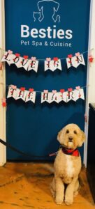 Besties valentines wall with groomed dog in front