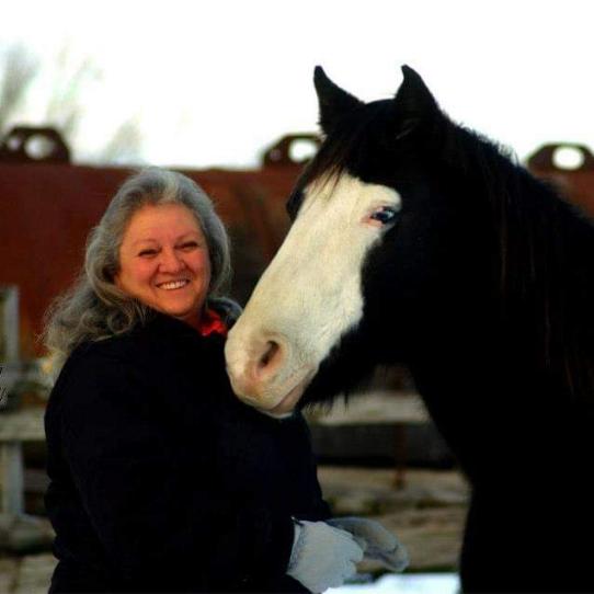Rhonda, dog groomer with black horse